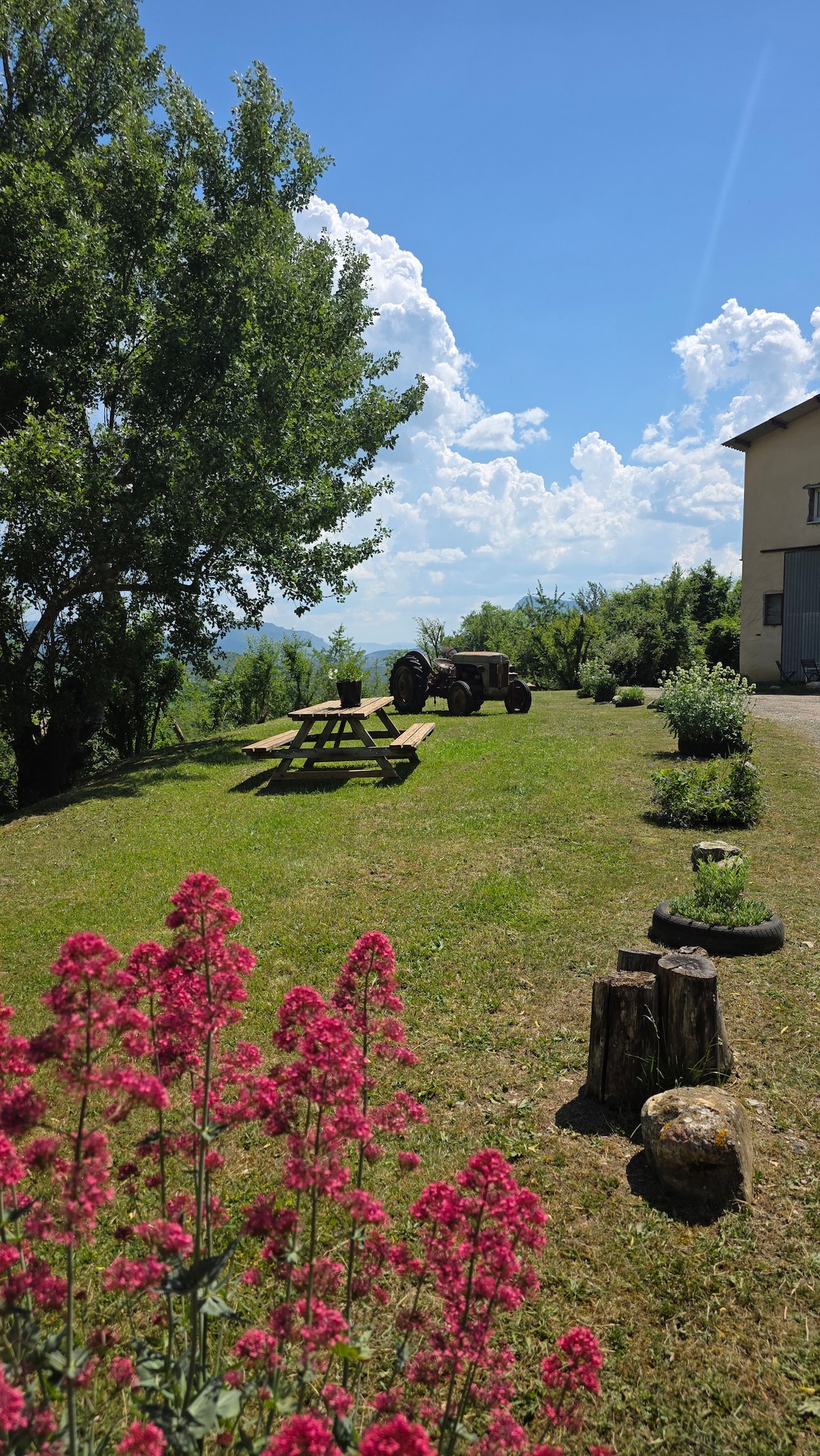 Photo de La Cabane du Berger