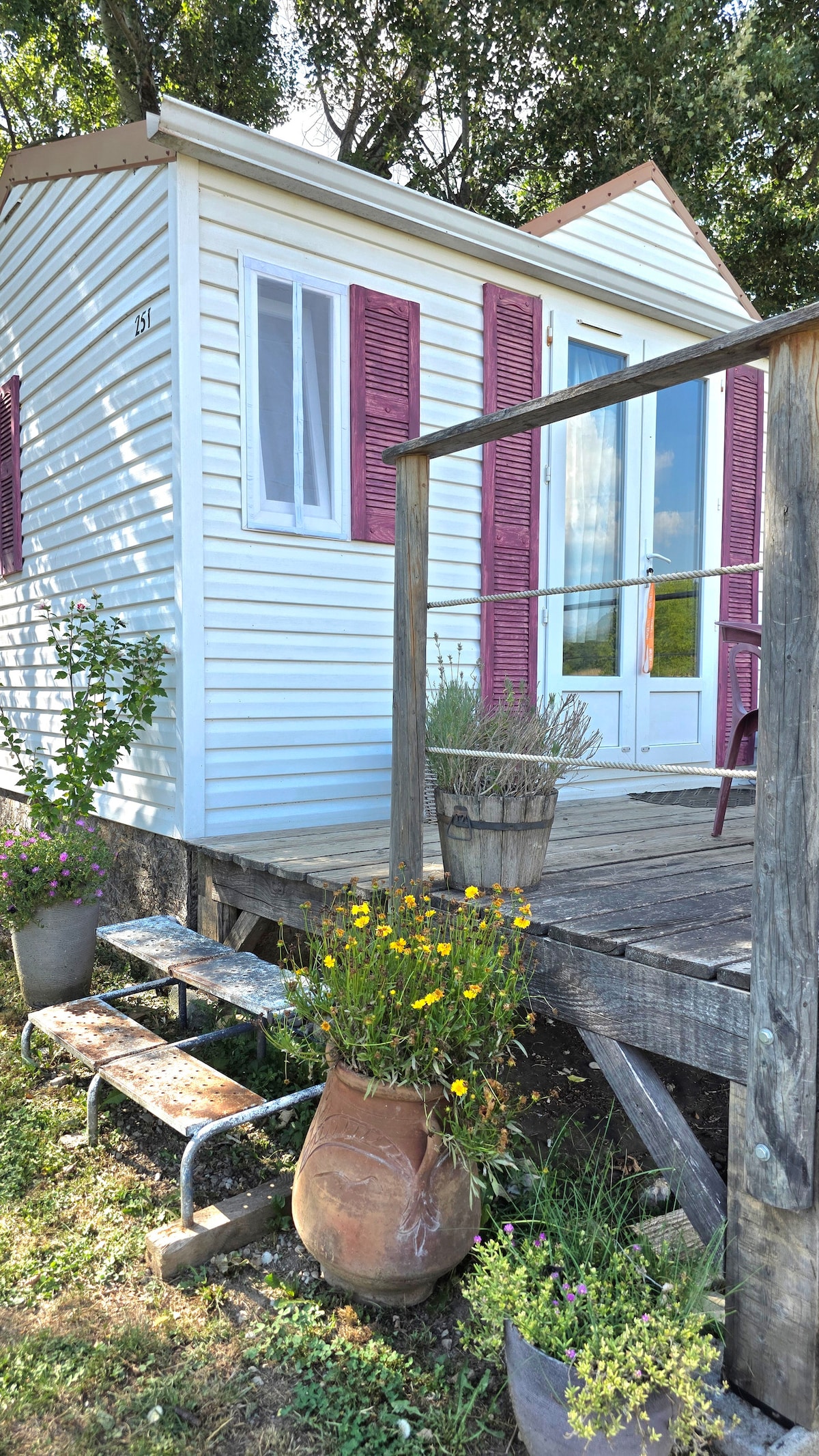 Photo de La Cabane du Berger