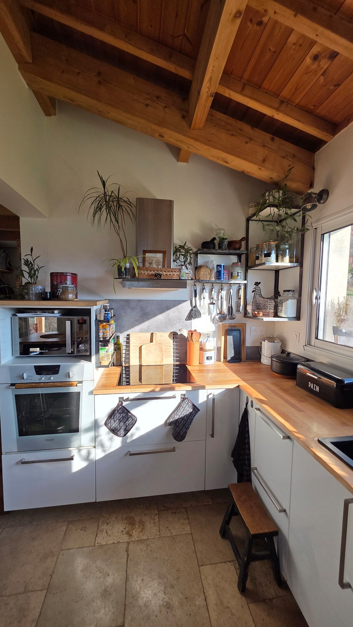 Photo de La Maison des Plantes